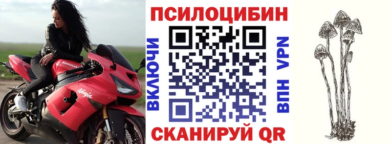 Псилоцибиновые грибы мицелий  кракен как зайти  Пойковский 